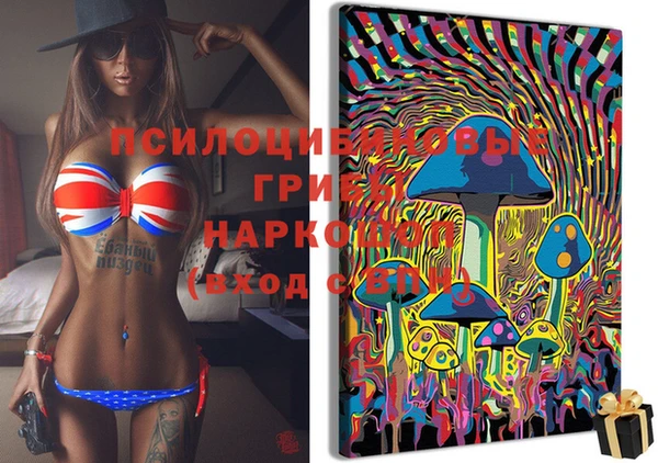 мяу мяу мука Арсеньев