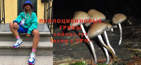 мяу мяу мука Арсеньев