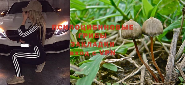 мяу мяу мука Арсеньев