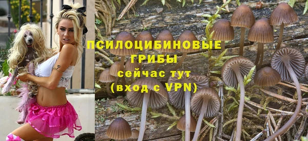 мяу мяу мука Арсеньев